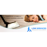 Ldm services 1053929 Image 4